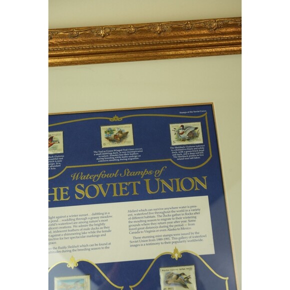 Soviet Union Waterfowl Stamps 1989-1991 | Gold-Framed Display Page | Collectible - Picture 3 of 16